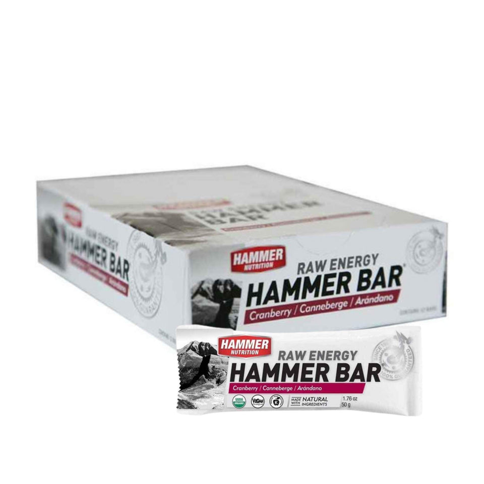Hammer Nutrition Raw Energy Bar (Box of 12)